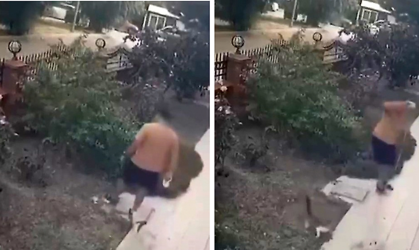 Köpeğini gezdirirken yavrulu kediye tekme attı: O anlar kamerada