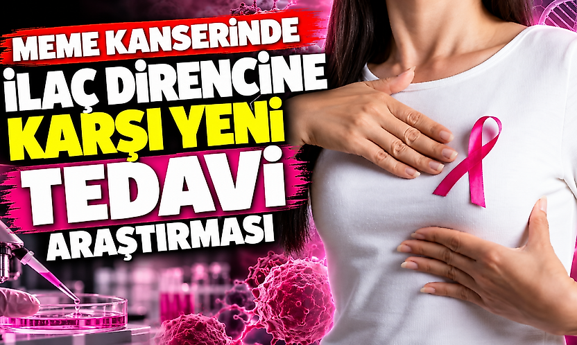 Meme kanserinde ilaç direncine karşı yeni tedavi araştırması