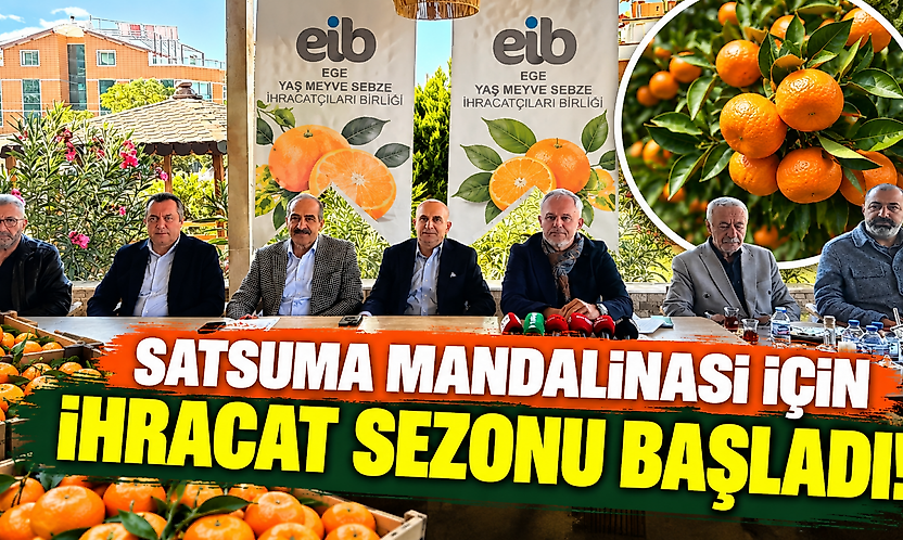 Satsuma mandalinası için ihracat sezonu başladı!