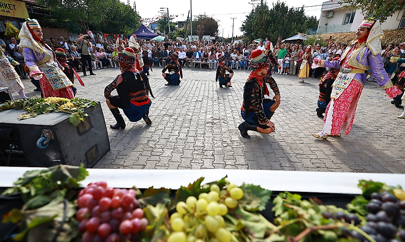 Selçuk'un coğrafi işaretli Osmancık üzümü Gökçealan'da vitrine çıktı