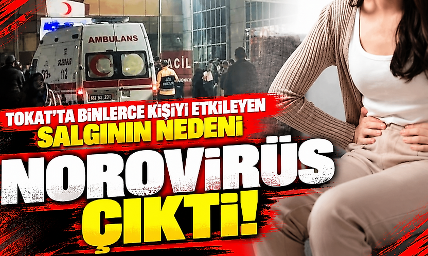 Tokat'ta binlerce kişiyi etkileyen salgının nedeni norovirüs çıktı