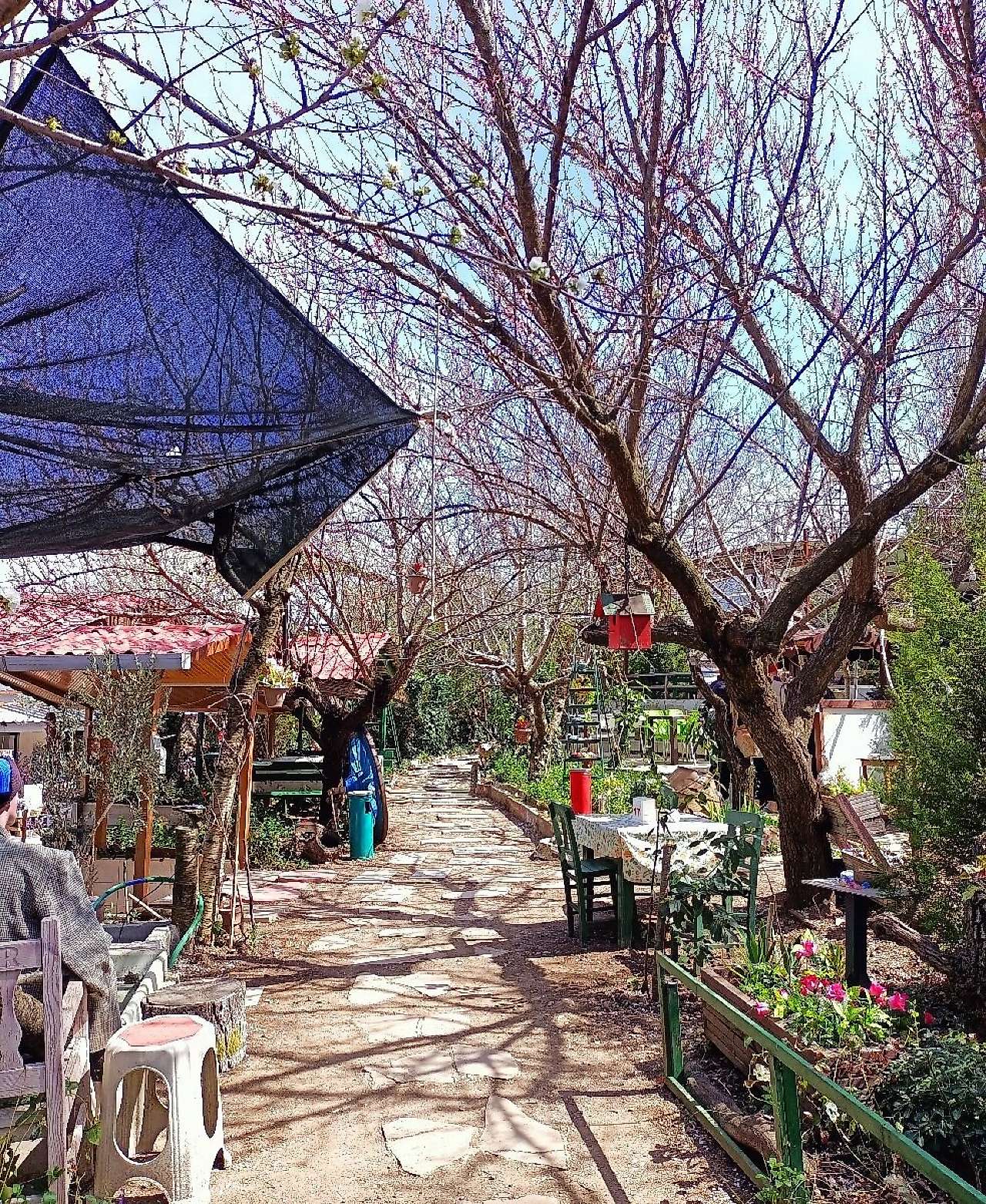 İzmir Kemalpaşa'da Hafta Sonu Yapılacak Aktiviteler