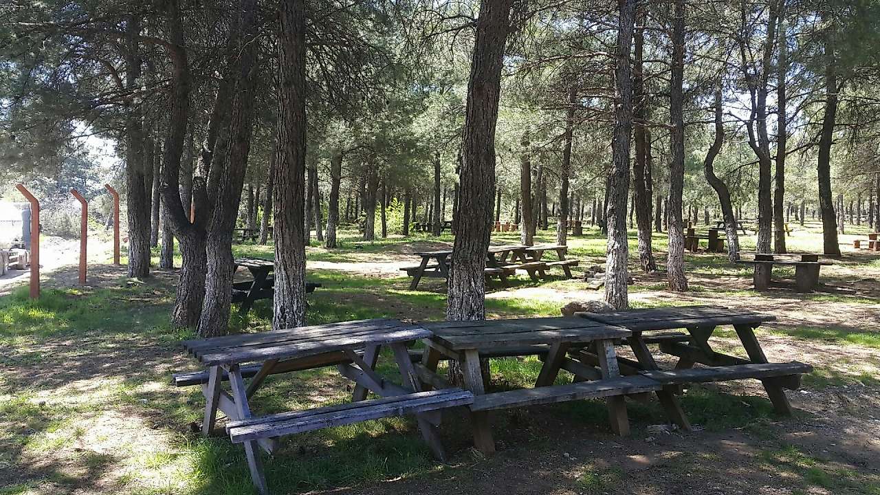 İzmir Kemalpaşa'da Hafta Sonu Yapılacak Aktiviteler