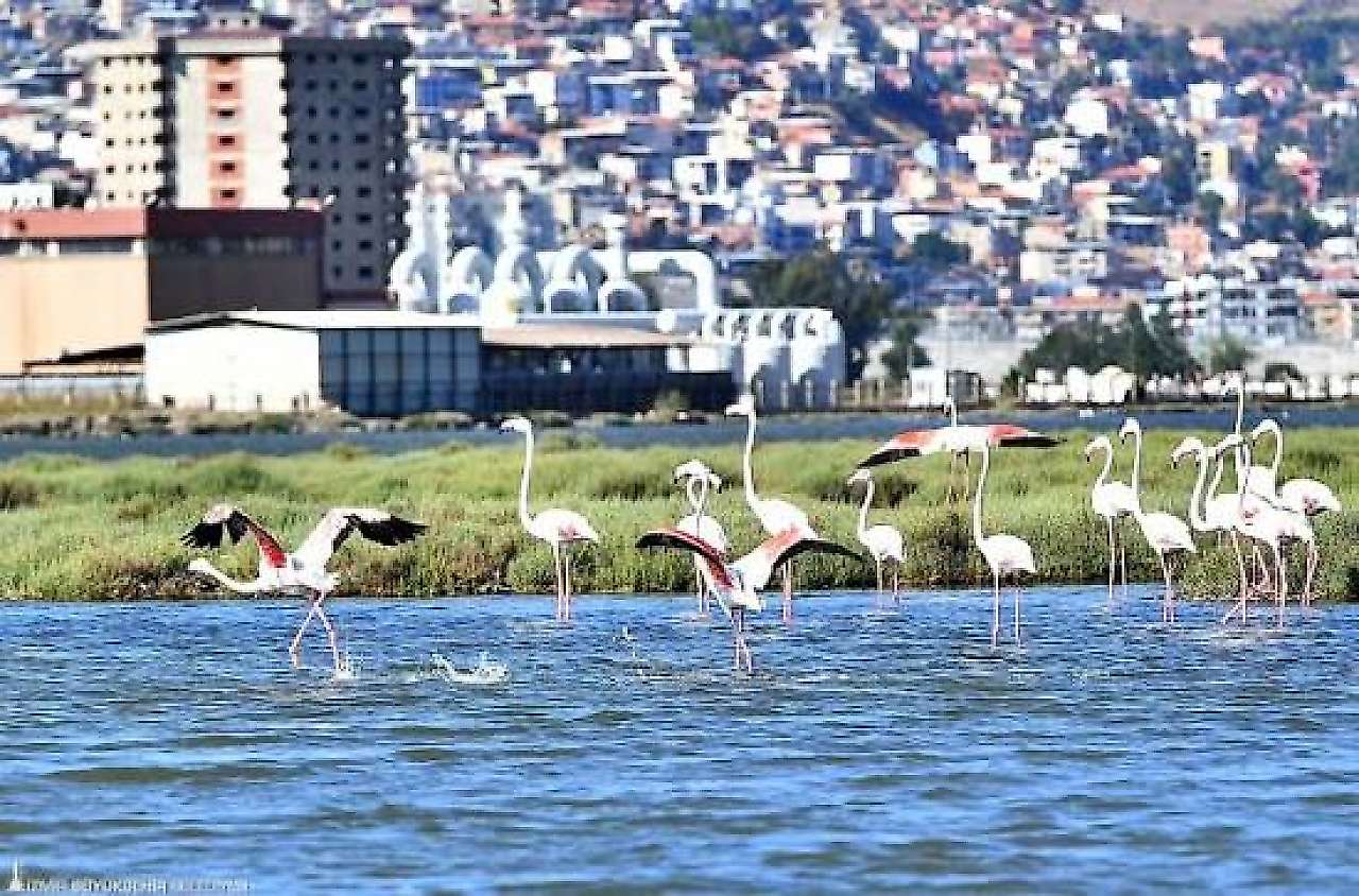 İzmir Çiğli'de Hafta Sonu Kaçamağı Yapacaklar Dikkat! İşte Ailece Gidilecek, Doğayla İç İçe En Güzel Rotalar