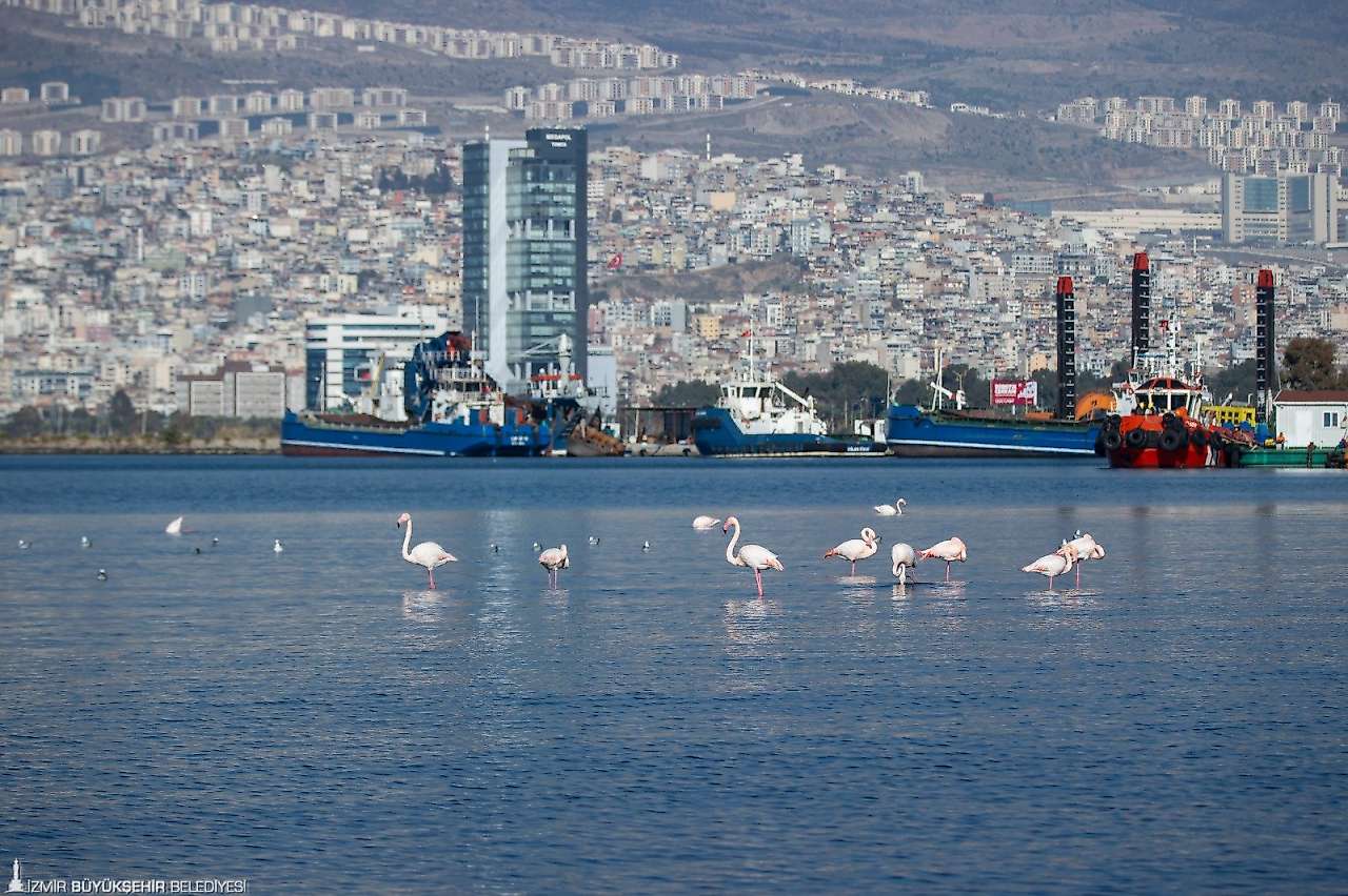 İzmir'de iklim için Avrupa ortaklığı: Gündemde su ve ulaşım var