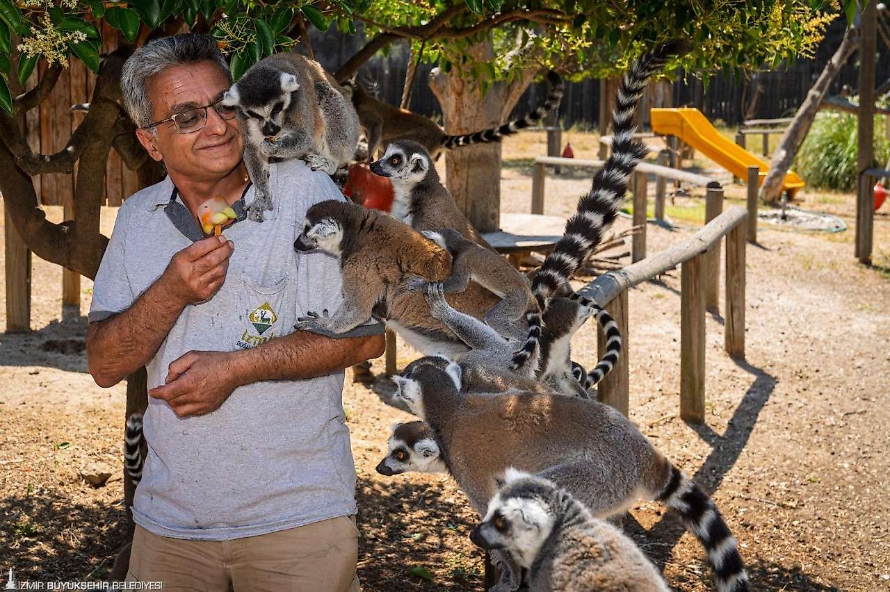 İzmir'de Doğal Yaşam Parkı için kış saati düzenlemesi başlıyor