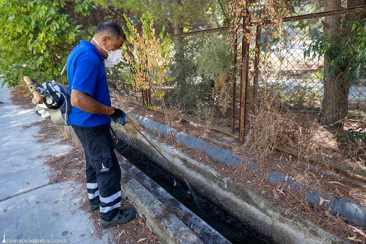 İzmir'de yazlıkçılara çağrı: Bahçelerde ve havuzlarda durgun su bırakmayın!