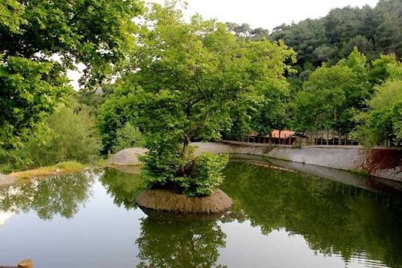 Bornova'da Hafta Sonu Ne Yapılır? İşte Bornova'da Gezilecek ve Yapılacak En Güzel Aktiviteler