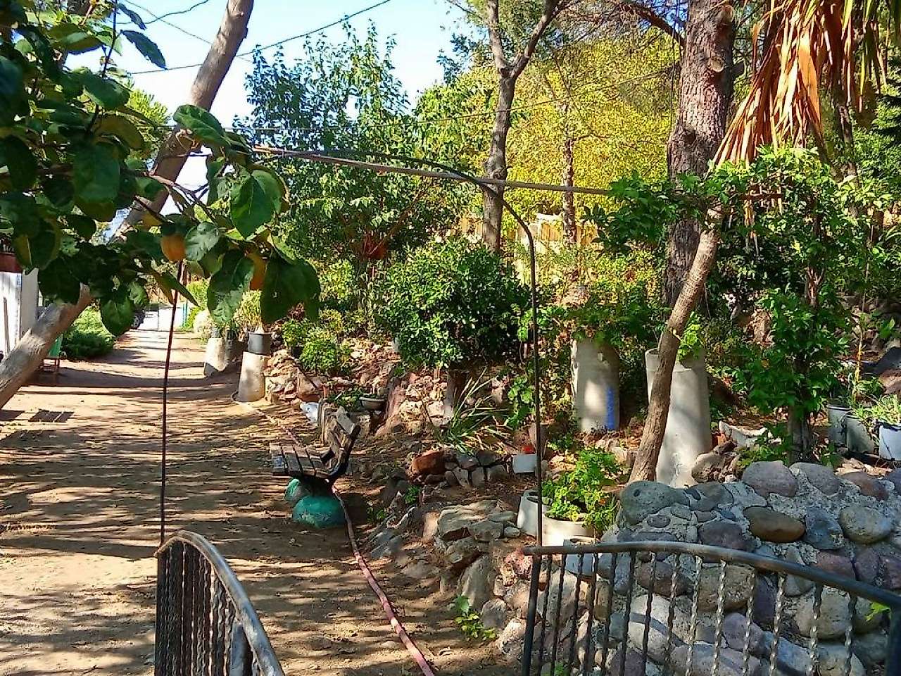 İzmir Dikili'de Hafta Sonu Ne Yapılır? Deniz, Doğa ve Tarihle Dolu En Güzel Gezi Rotaları
