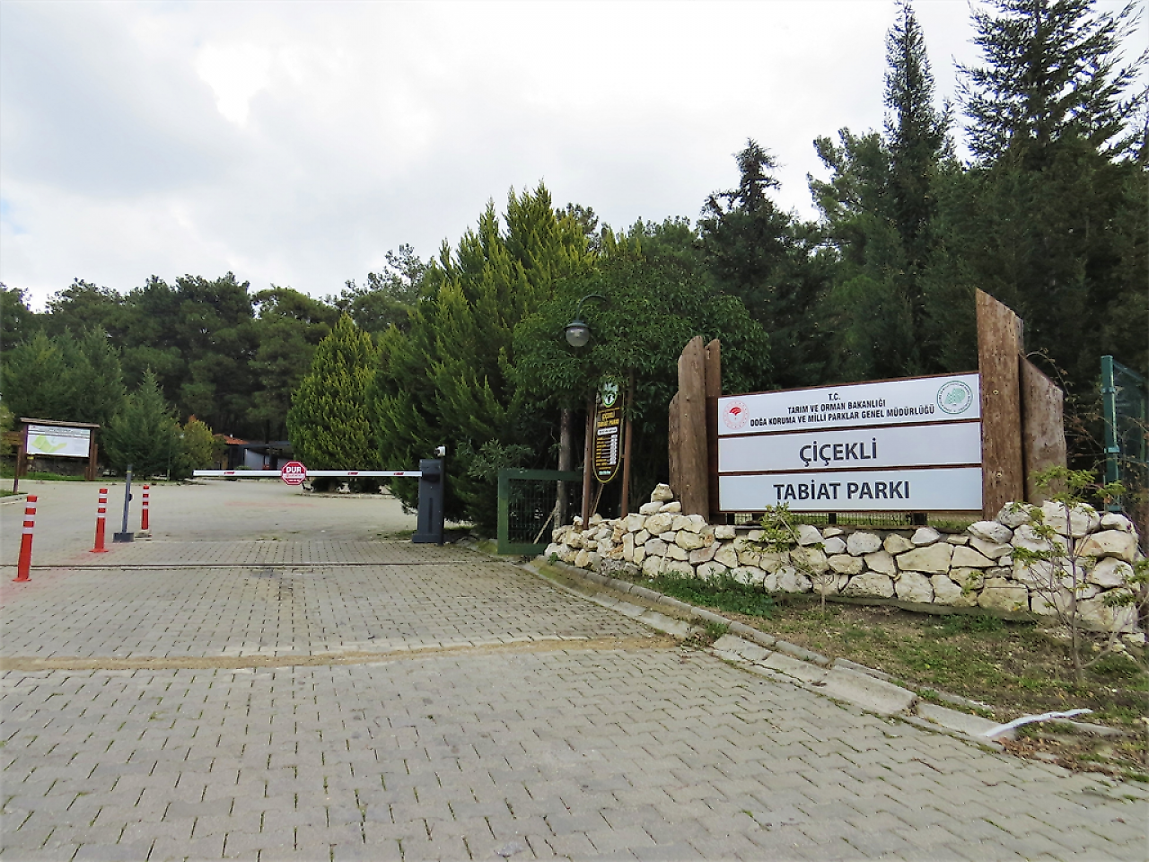 Bornova'da Hafta Sonu Ne Yapılır? İşte Bornova'da Gezilecek ve Yapılacak En Güzel Aktiviteler