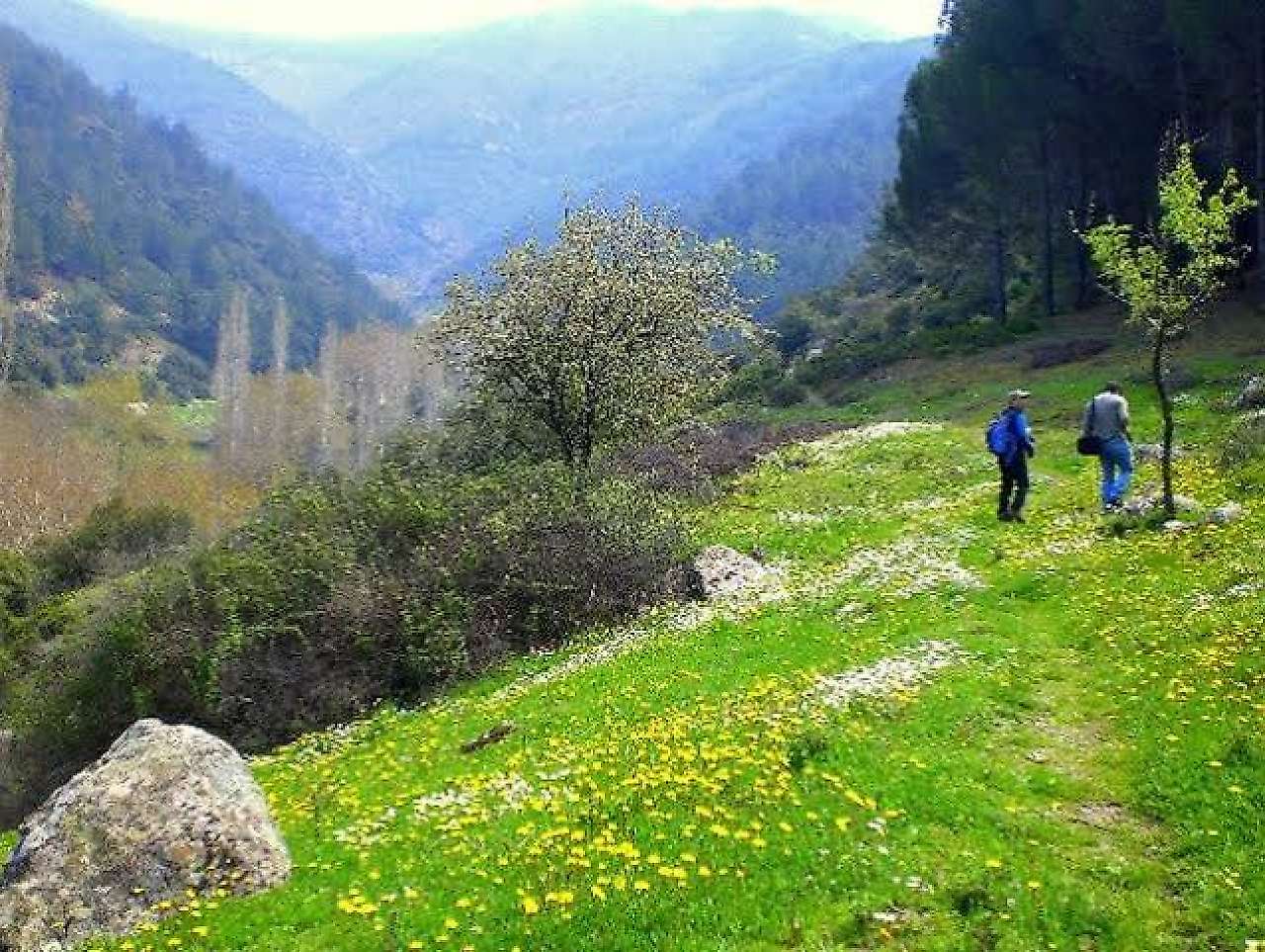 İzmir Narlıdere'de Hafta Sonu Ne Yapılır? İşte Doğa, Deniz ve Tarihle İç İçe Aktivite Rotaları