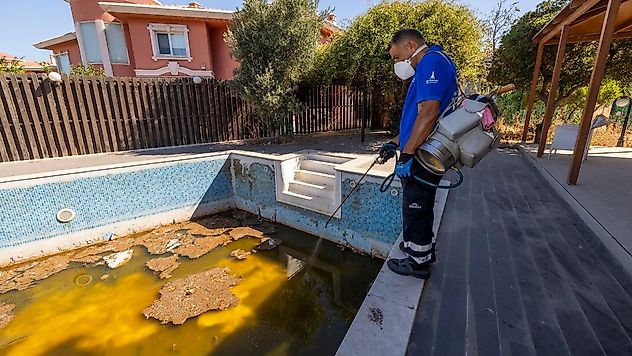 İzmir'de yazlıkçılara çağrı: Bahçelerde ve havuzlarda durgun su bırakmayın!